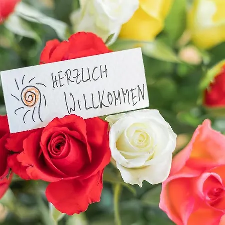 Zur Steinburg * Bad Schandau