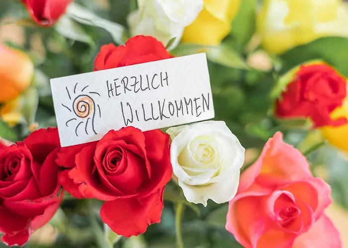 Zur Steinburg * 巴特尚道